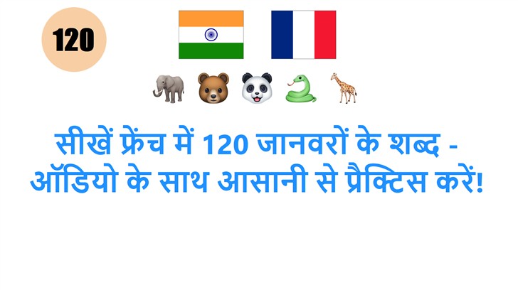 सीखें फ्रेंच में 120 जानवरों के शब्द - ऑडियो के साथ आसानी से प्रैक्टिस करें!